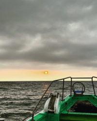 遊漁船　イカ釣り