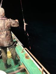 遊漁船　イカ釣り
