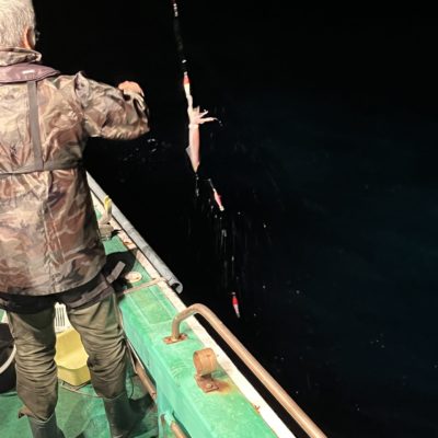 遊漁船　イカ釣り