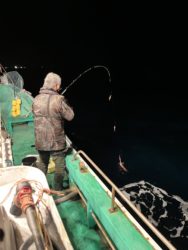 遊漁船　イカ釣り
