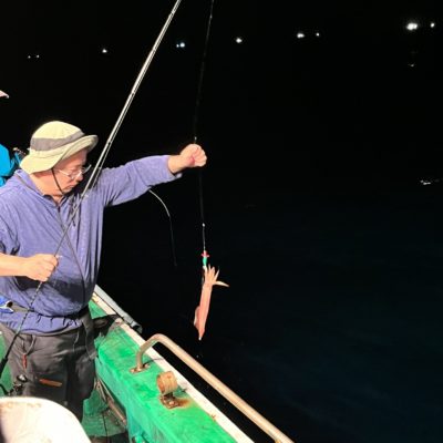遊漁船　イカ釣り