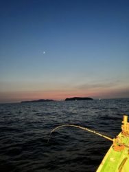 遊漁船　イカ釣り