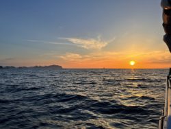 遊漁船　イカ釣り