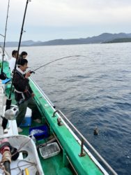 遊漁船　イカ釣り