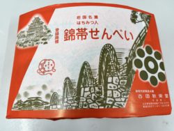 遊漁船　イカ釣り