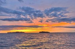 遊漁船　イカ釣り