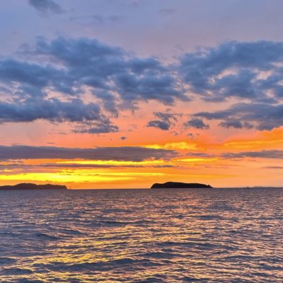 遊漁船　イカ釣り