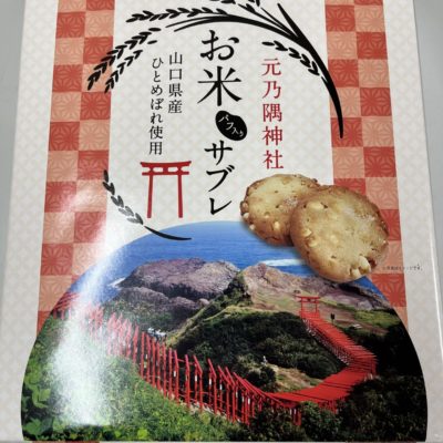 遊漁船　イカ釣り