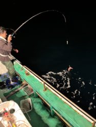 遊漁船　イカ釣り